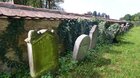 Jewish Cemetery / Єврейський цвинтар