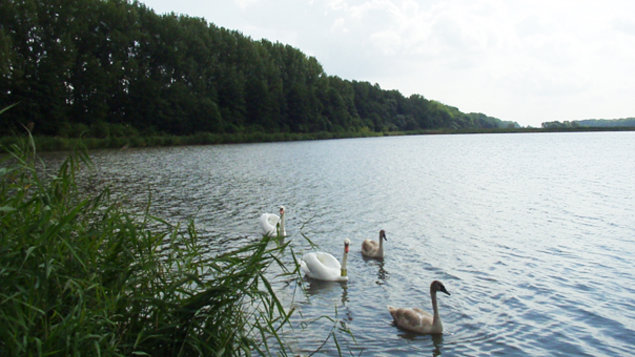 Levice fishponds